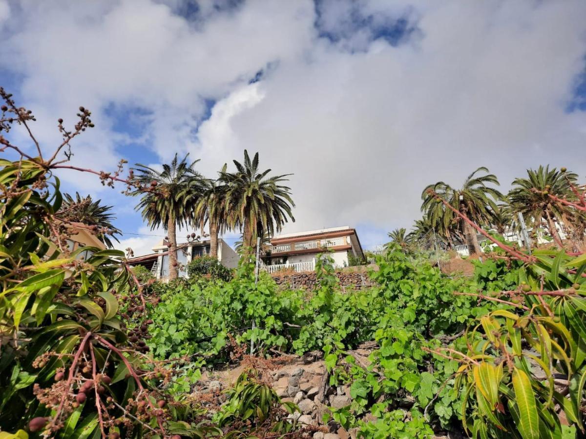 Casa Rural La Vega Alojera Exterior photo